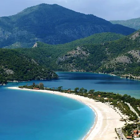 New St. Nicholas Garden