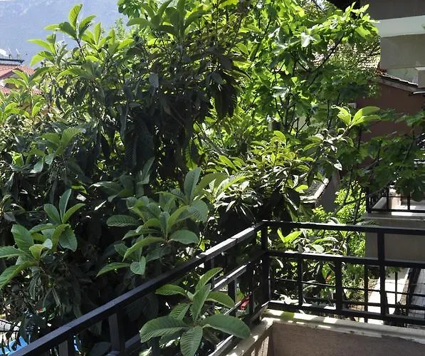 Bed and breakfast New St. Nicholas Garden Ölüdeniz