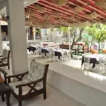 New St. Nicholas Garden