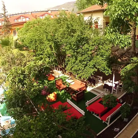 Bed & Breakfast New St. Nicholas Garden Ölüdeniz